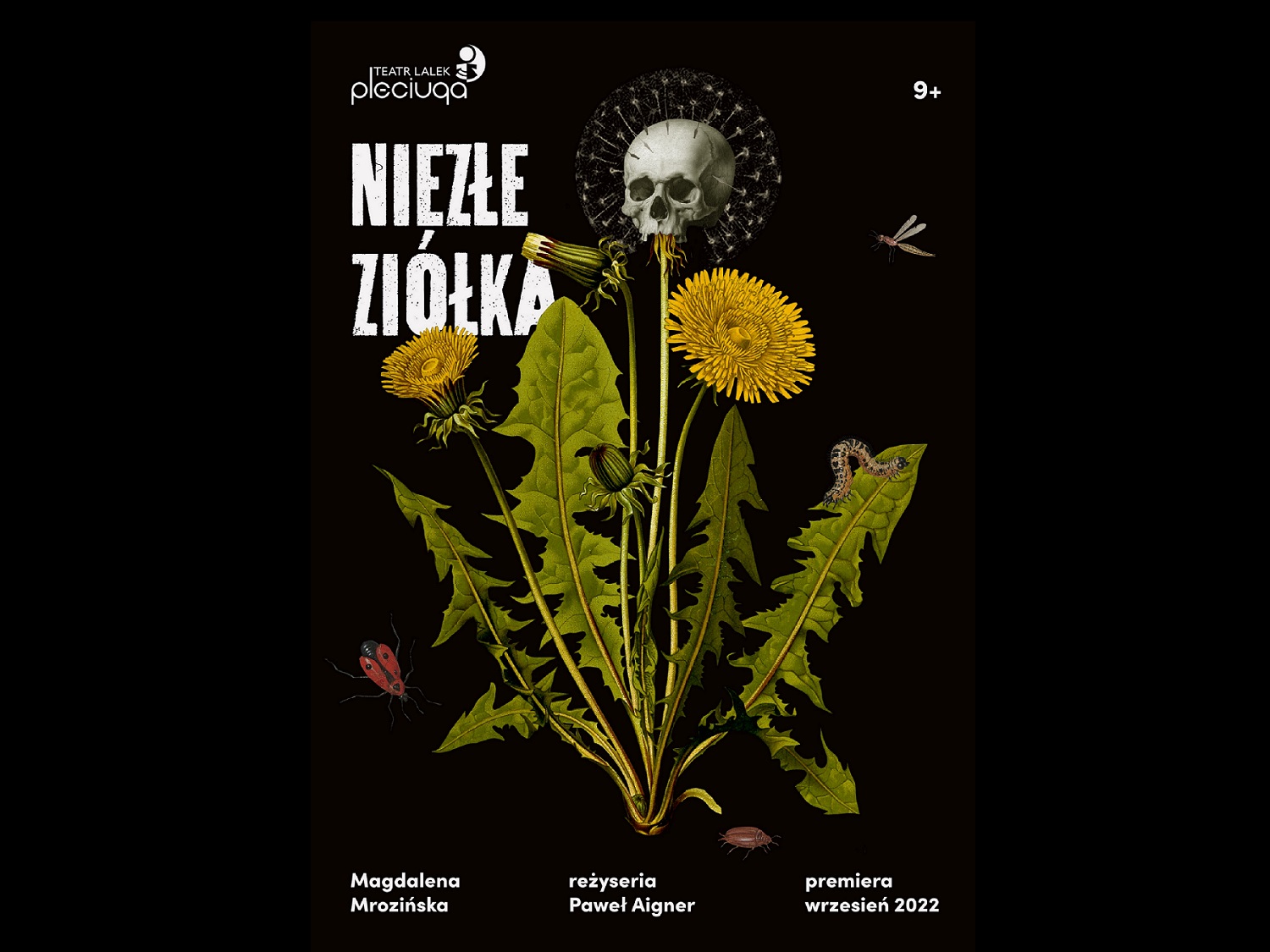 opracowanie graficzne: Posters and sons
