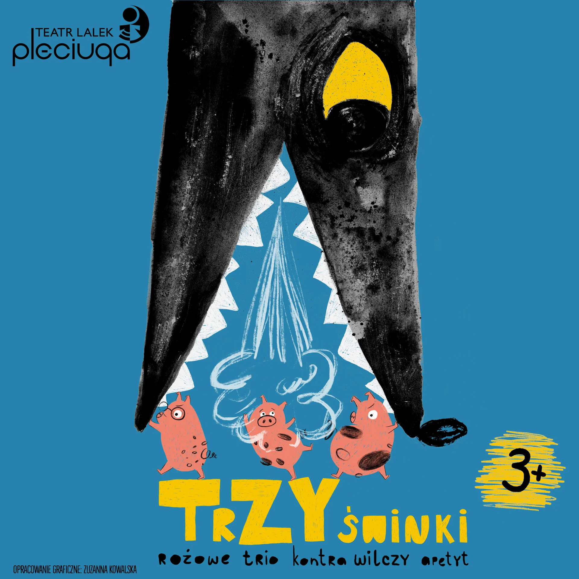 opracowanie graficzne: Zuzanna Kowalska